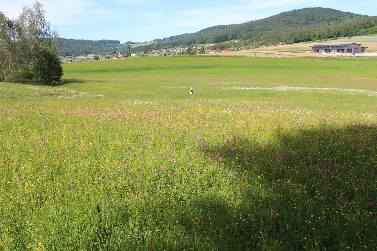 Gasthaus Zur Waldesruh Waffenbrunn Eksteriør bilde